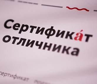 Больше 50-ти новосибирцев написали «Тотальный диктант» на «отлично»