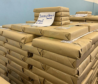 Избиркомы получили бюллетени для президентских выборов в Новосибирске