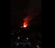Верблюда, дикобразов и оленей спасли из пожара в Новосибирском зоопарке