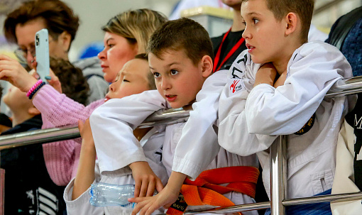 Кобудо, джиу-джитсу и айкидо покажут на фестивале «Звёзды Сибири»