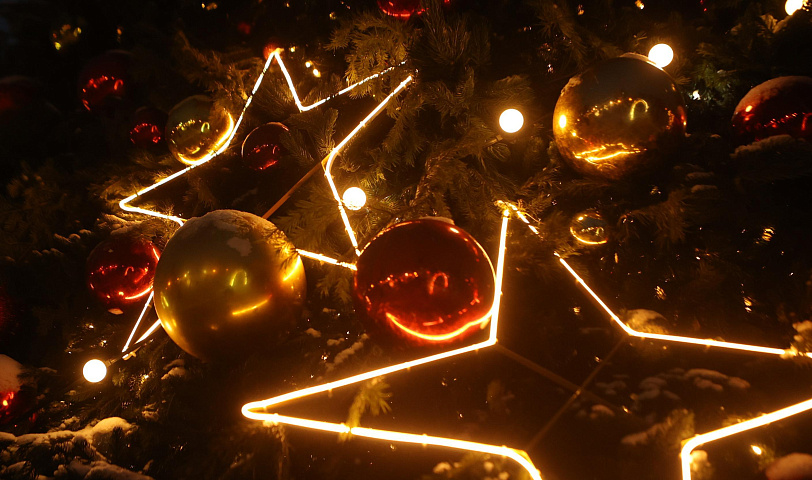 Главную городскую ёлку высотой 21 метр установят в Театральном сквере