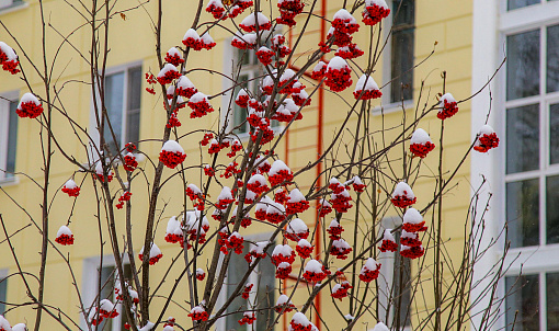 На температурных качелях покачает погода новосибирцев в выходные