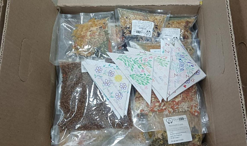 Домашней едой из пакетов кормят бойцов СВО новосибирцы