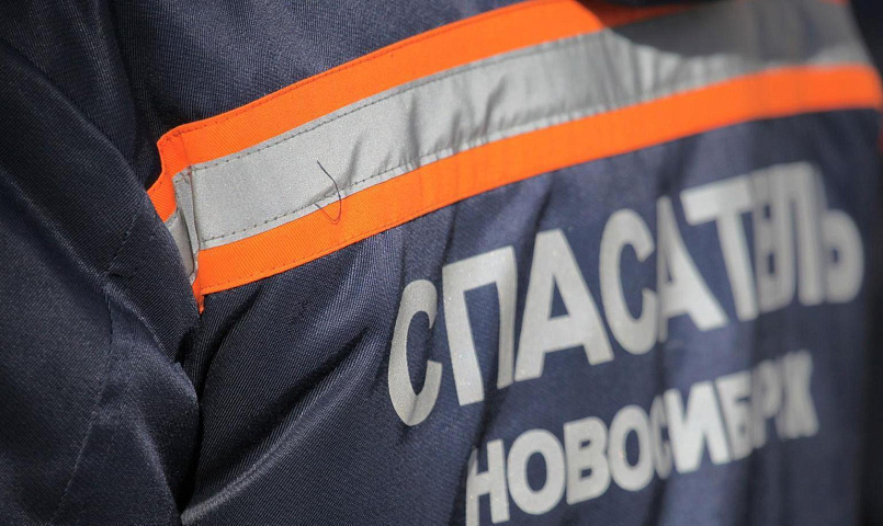 Дерево рухнуло на остановку в Новосибирске — пострадали трое