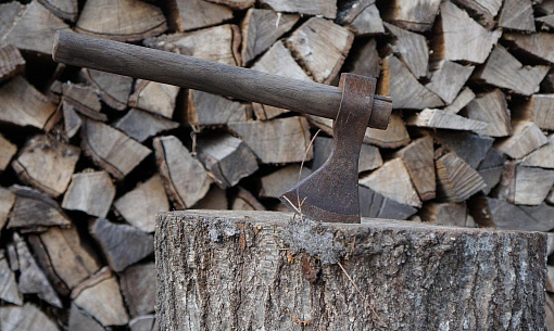 «Умка» и «Ледокол» будут рубить дрова в новосибирских деревнях