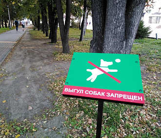 Знаки «Выгул собак запрещён» установили во всех скверах Новосибирска