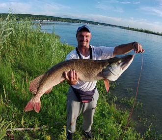 Рыбак из Новосибирска поймал 13-килограммового «крокодила» в Оби