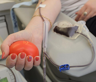 Электронную очередь для доноров внедрили в Центре крови в Новосибирске