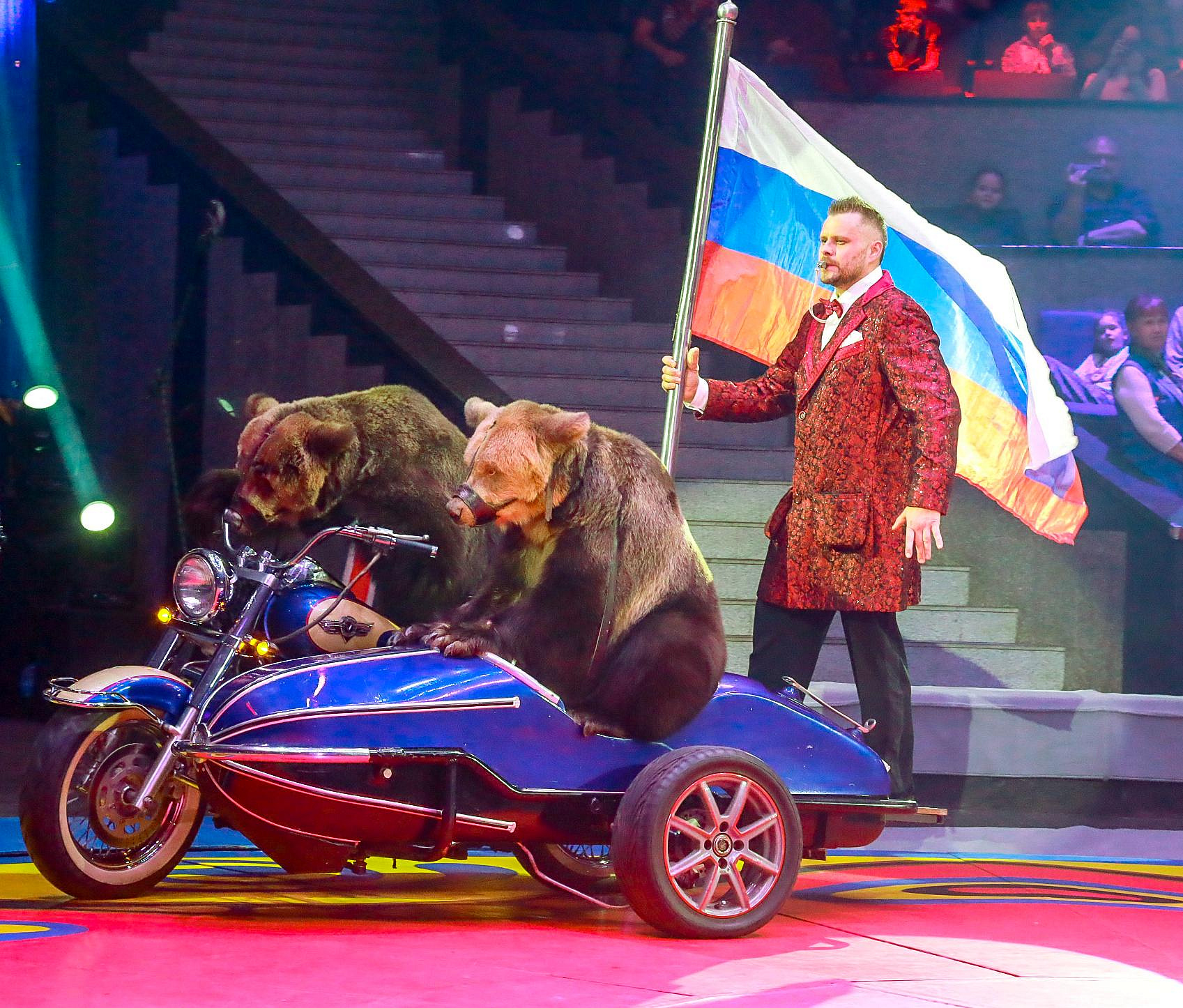 Синтез иллюзии, клоунады и дрессуры: цирк Филатовых приехал в Новосибирск