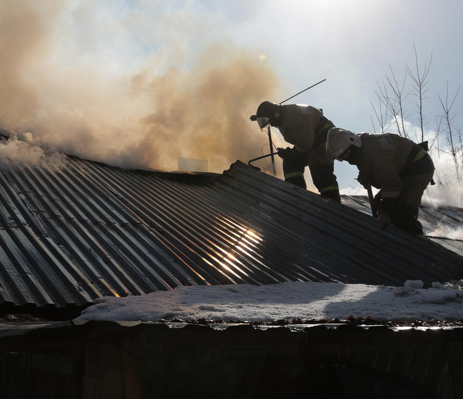 Восьмерых кроликов вызволили из пожара в частном доме в Новосибирске
