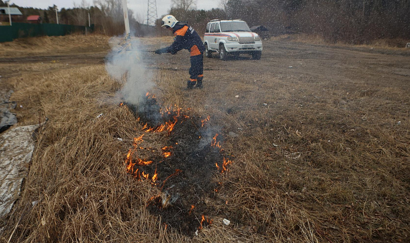 249 штрафов выписали жителям Новосибирской области за костры в огородах