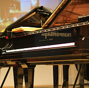 Это победа: 400 тысяч россиян признали Новосибирск культурной столицей