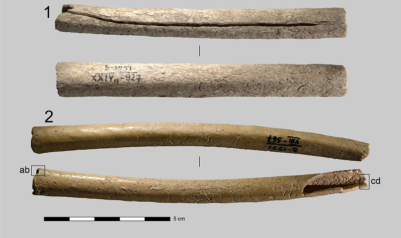 Новосибирские учёные просветили микротомографом древние футляры для игл