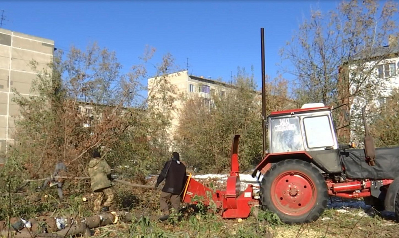 Опасные деревья убрали со школьного маршрута в Кировке