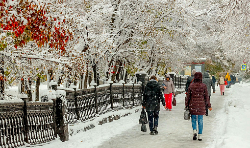 Экстренное предупреждение о непогоде объявили в Новосибирской области