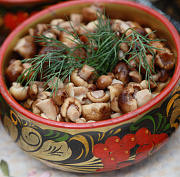 Мост культур и вкусов: как прошёл гастрофестиваль «В Сибири — есть!»