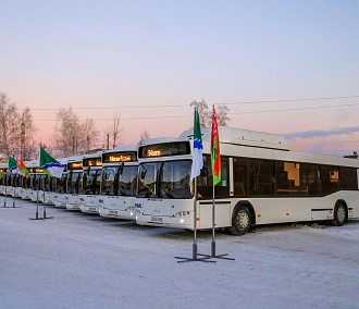 15 новых минских автобусов выходят на маршруты в Новосибирске