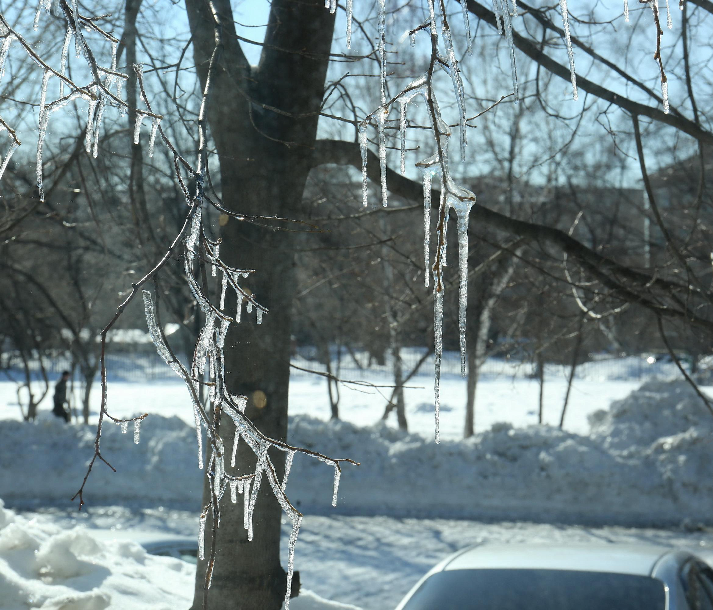 Необычно тёплый и снежный март спрогнозировали новосибирцам синоптики