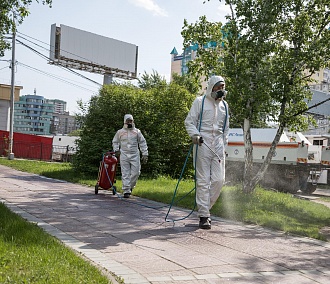 В парки Новосибирска вышли спасатели-дезинфекторы