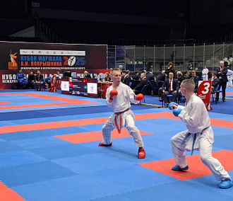 Созданный нейросетью Покрышкин поприветствовал каратистов в Новосибирске