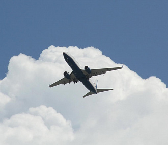 Удар и скрежет: самолёт с отказавшим двигателем вернулся в Новосибирск