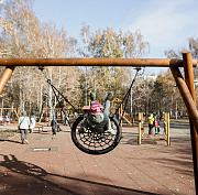 Тёплый ноябрь с +15 градусами спрогнозировали новосибирцам синоптики