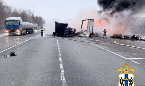 Три грузовика сошлись в ДТП на трассе в Новосибирской области