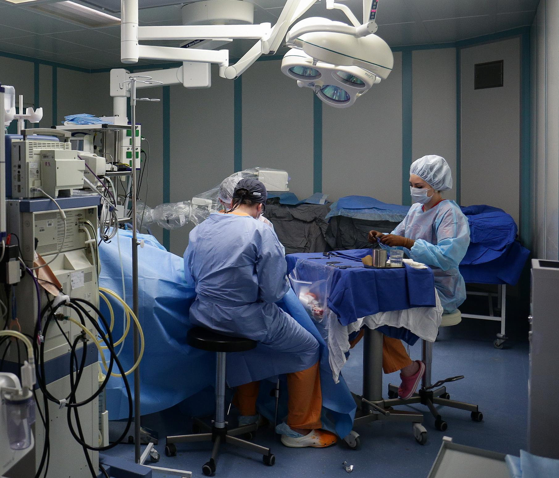 Миниатюрной пациентке с вывихом бёдер увеличили рост в Новосибирске