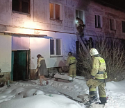 Шестерых кошек спасли из ночного пожара под Новосибирском