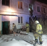 Шесть кошек спасли из ночного пожара под Новосибирском