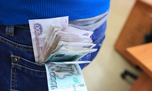 Аферу на 6,5 млн рублей с маткапиталом раскрыли в Новосибирске