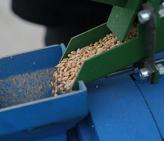 Рекордный урожай в 3,5 млн тонн зерна собрали новосибирские аграрии