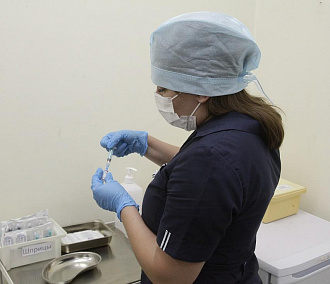 Вакцины от энцефалита на 31 миллион закупит Новосибирская область