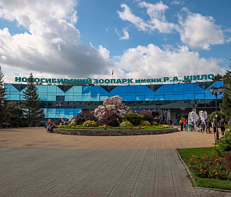 Новосибирский зоопарк перешёл на осенний график работы