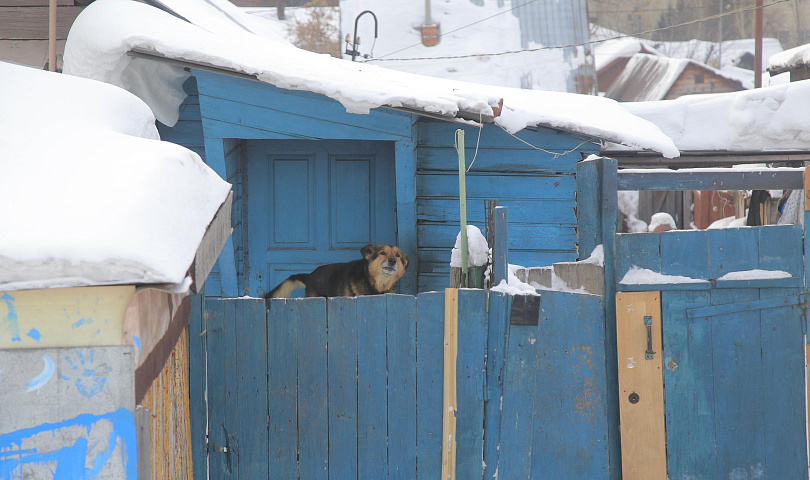Больше 700 пожарных рейдов провели в СНТ и частном секторе Новосибирска