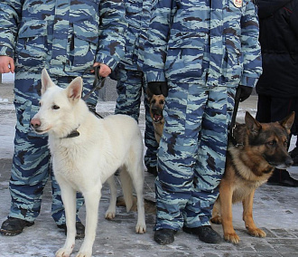 Из воинской части под Новосибирском сбежали десять человек