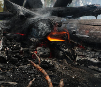 В Новосибирской области пенсионер сжигал траву и спалил свой дом