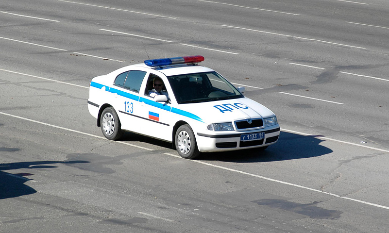 В Новосибирске к поимке заклдачиков начали привлекать ППС и ГАИ