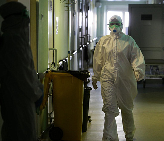 Инфекционисты не ждут вспышки обезьяньей оспы в Новосибирске