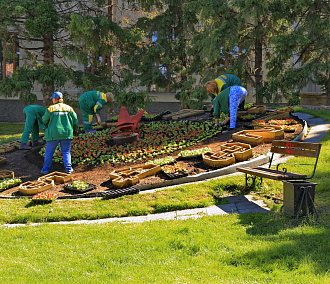 Понятный город: как зелёные инженеры возвращают природу в Новосибирск