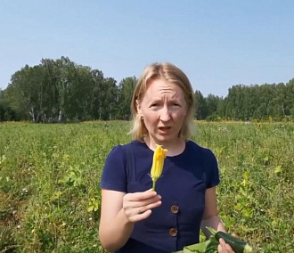 Новосибирский фермер выращивает экологически чистые овощи без химикатов