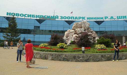 Вольеры на месте сгоревших построят к весне 2026 года — директор зоопарка