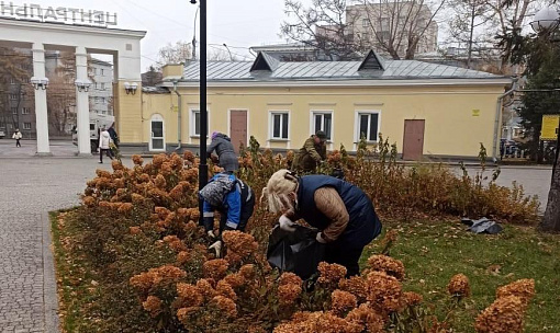 Шикарные гортензии в Центральном парке готовят к зимовке