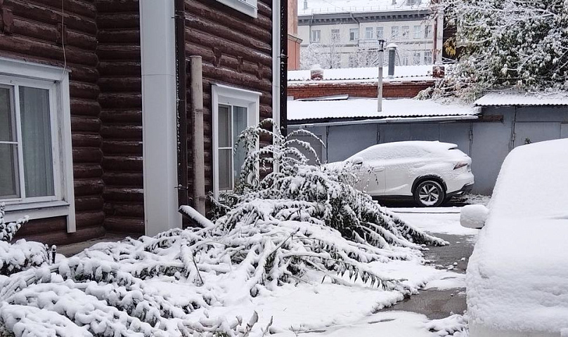 Первый снежный покров лёг в Новосибирске: 10 холодных фото