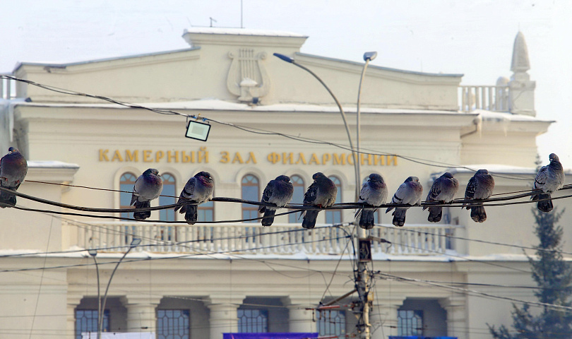 Афиша Новосибирска: куда сходить в понедельник, 6 октября