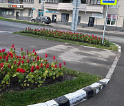 Сальвии, лилейник, катарантусы: 5000 цветов высадили в Первомайке