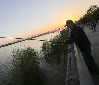 Где клюёт: лучшие места для рыбалки в Новосибирске
