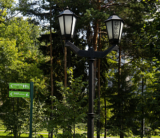 Стартует голосование по благоустройству парков в Новосибирской области