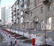 Город без окраин: последние деревья досаживают в центре Новосибирска