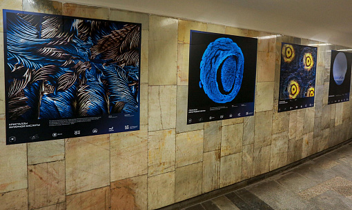 Айсберги и пауки в янтаре: новую выставку открыли в метро Новосибирска